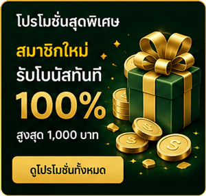 สมาชิกใหม่ รับโบนัส 100%